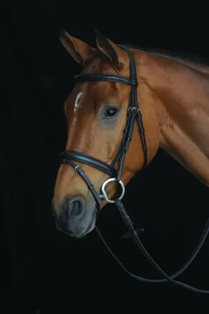 Collegiate Comfort Crown Padded Raised Flash Bridle