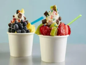 Frozen Yogurt Shop Business Plan